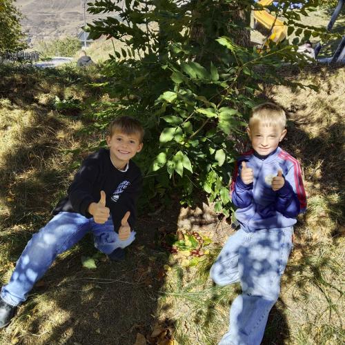foto